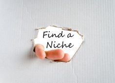 Find a Niche