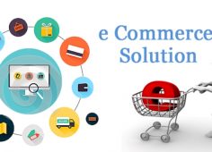 Customization; the Ultimate solution for the development of E-commerce