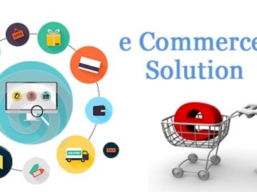 Customization; the Ultimate solution for the development of E-commerce