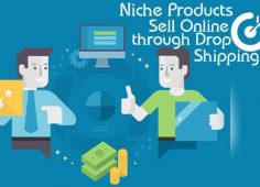 Dropshipping product niche