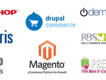 E-commerce Software Market