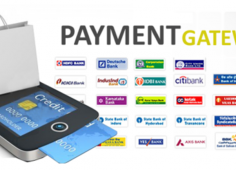 Starting a payment gateway company